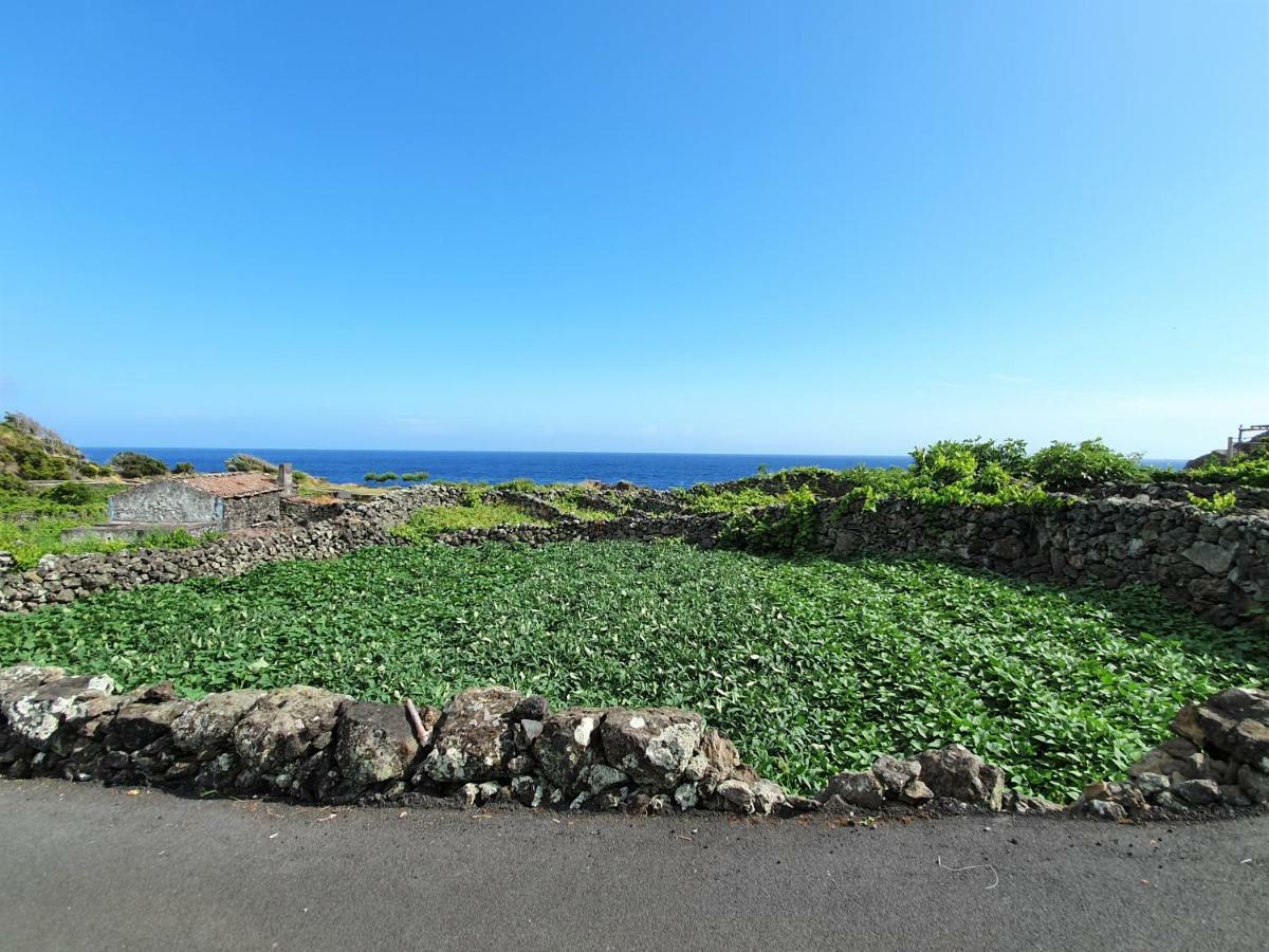 Casinha de Nesquim Calheta de Nesquim Exterior foto